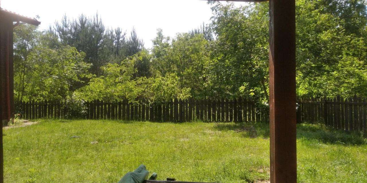 Bialowieza Spanie Na Sianie Puszcza Bialowieska Dubicze Cerkiewne Dış mekan fotoğraf